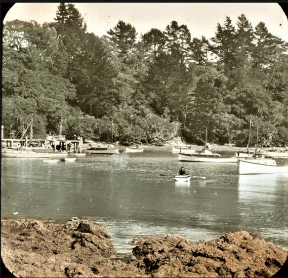 Screen Shot 2020-06-20 at 8.16.08 PM