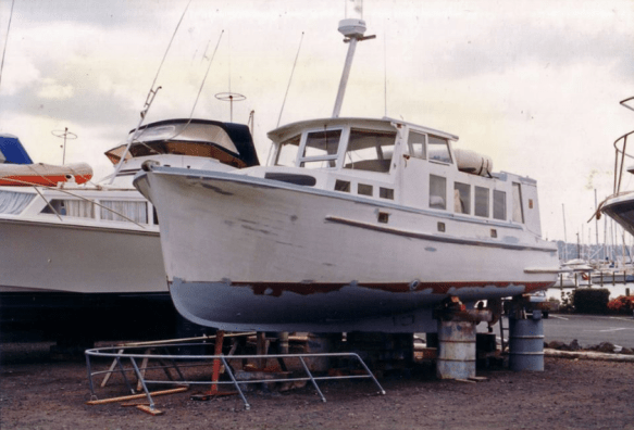 Screen Shot 2020-06-25 at 8.00.02 PM