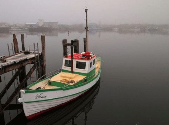 Screen Shot 2020-06-30 at 7.11.28 PM