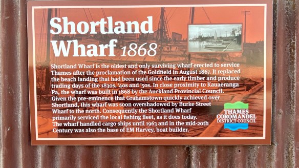 B286C6FF-330E-4C3B-9DF6-99DEE2BD8DD5_1_201_a