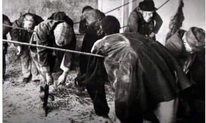 Screen Shot 2020-06-20 at 5.09.58 PM