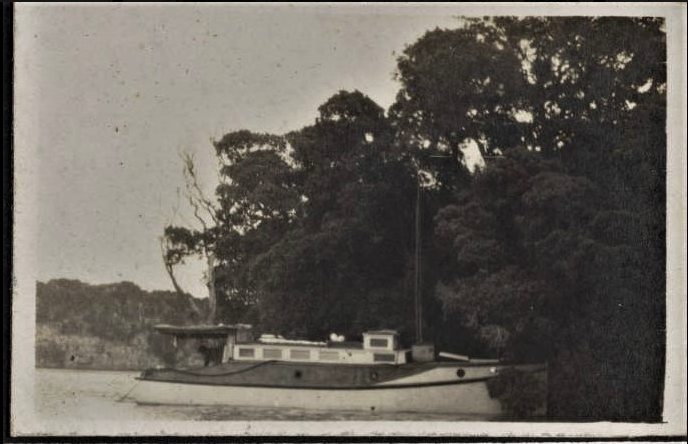 Screen Shot 2020-06-23 at 7.53.46 AM