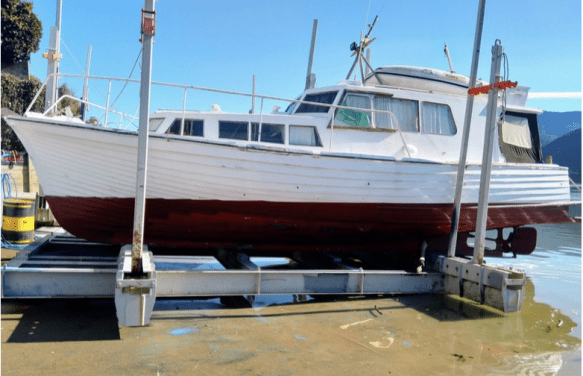 Screen Shot 2020-07-08 at 7.32.10 AM