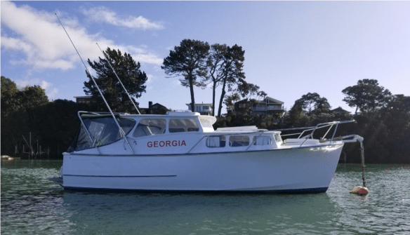 Screen Shot 2020-07-17 at 11.17.58 AM