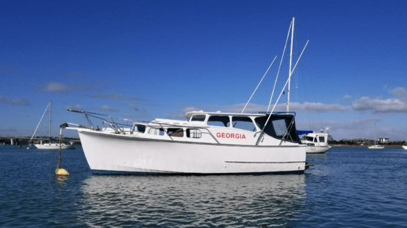 Screen Shot 2020-07-17 at 11.18.09 AM