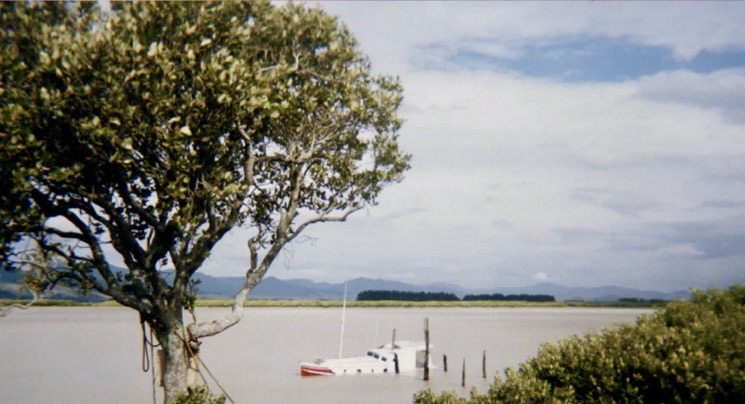 Screen Shot 2020-07-26 at 10.17.09 PM