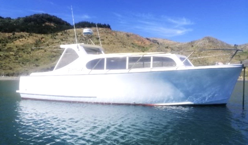 Screen Shot 2020-08-14 at 4.42.33 PM