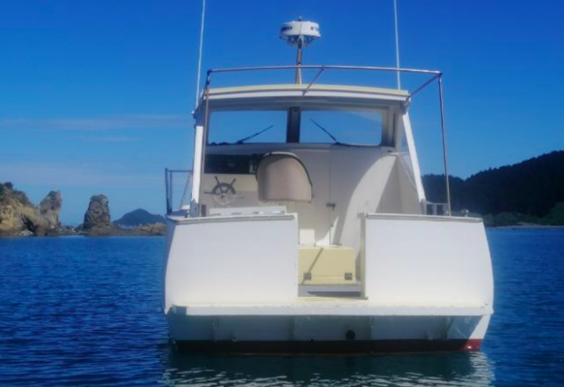 Screen Shot 2020-08-14 at 4.44.59 PM