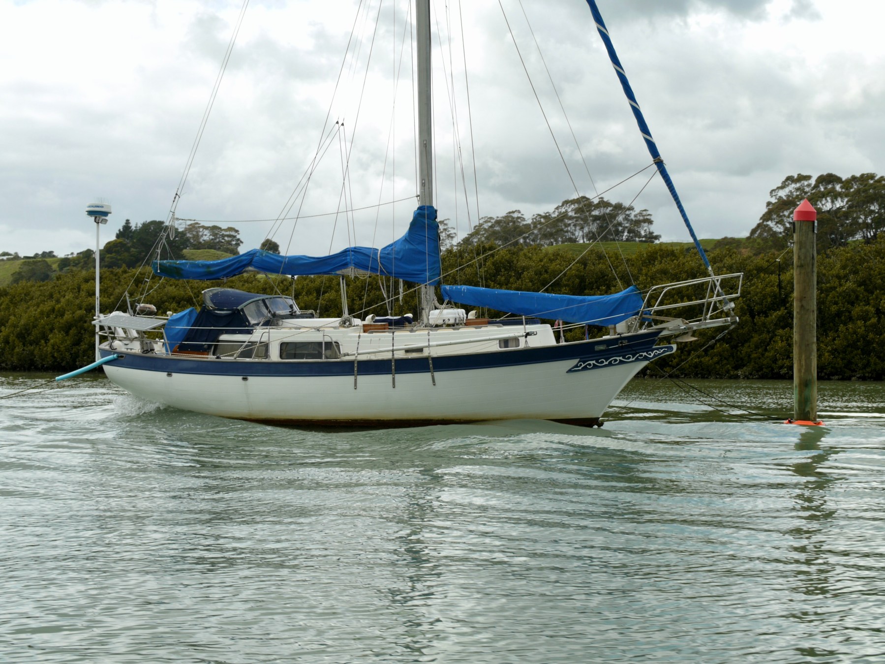 Wairoa River / Clevedon Drive By Tour 1 for